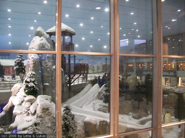 3221 winter mitten in der wüste